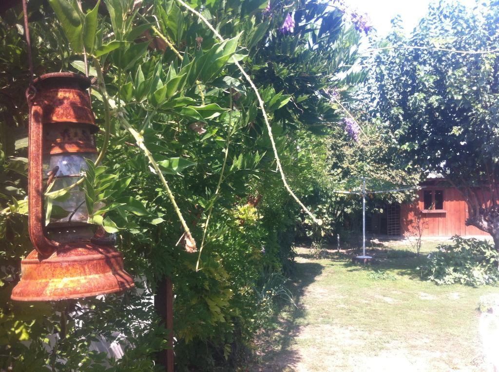 Santa Maria Apartment Donji Kovilj Exteriér fotografie