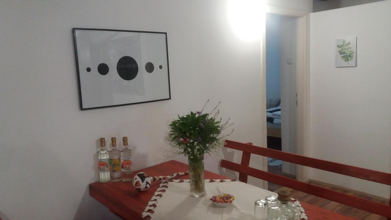 Santa Maria Apartment Donji Kovilj Exteriér fotografie